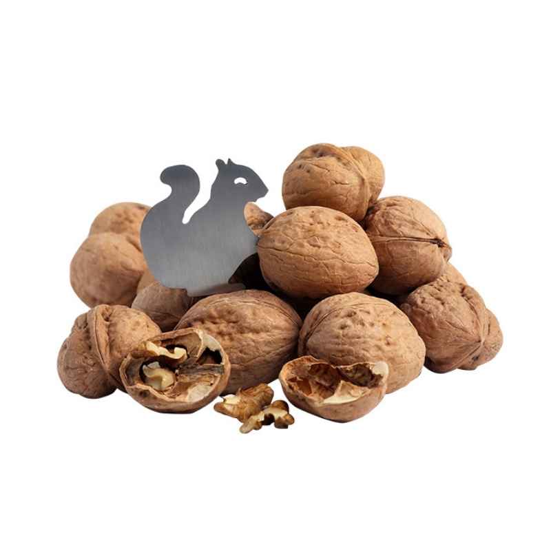 Cancan 1307 Ceviz Açacağı